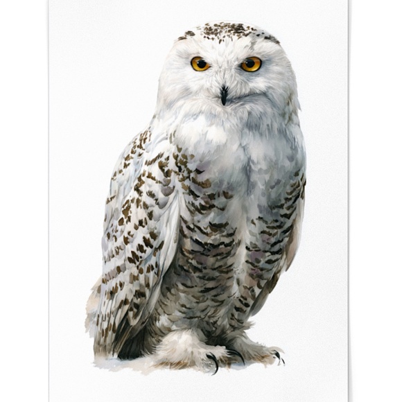Watercolor Snowy Owl Portrait Wall Art Print, Unframed - Mystic Winter Grace - Picture 2 of 6